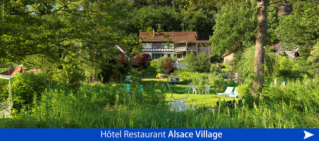 Hôtel Restaurant Alsace Village